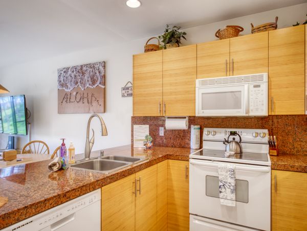 Wailea Home 1018403