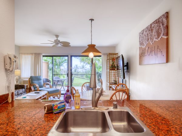 Wailea Home 1018403