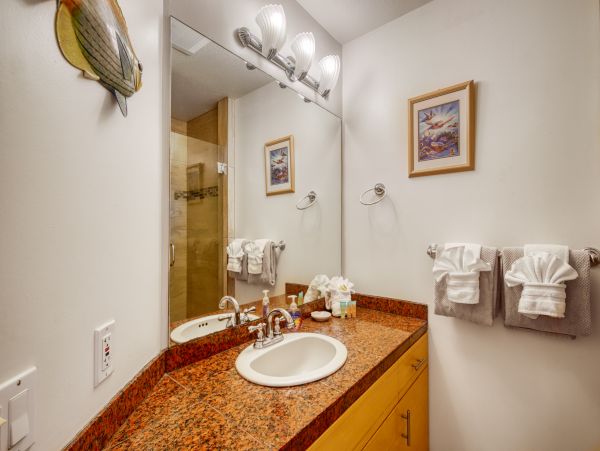 Wailea Home 1018403
