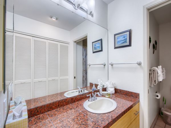 Wailea Home 1018403