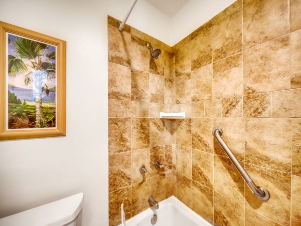 Wailea Home 1018403