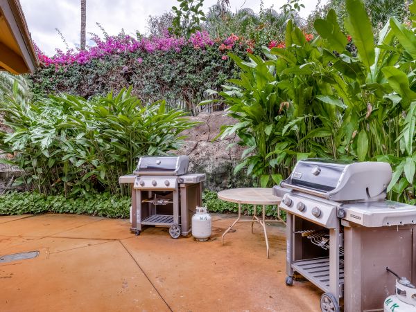 Wailea Home 1018403