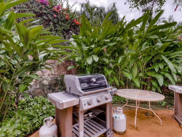 Wailea Home 1018403