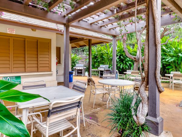 Wailea Home 1018403