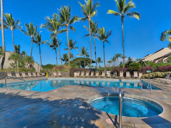Wailea Home 1018403