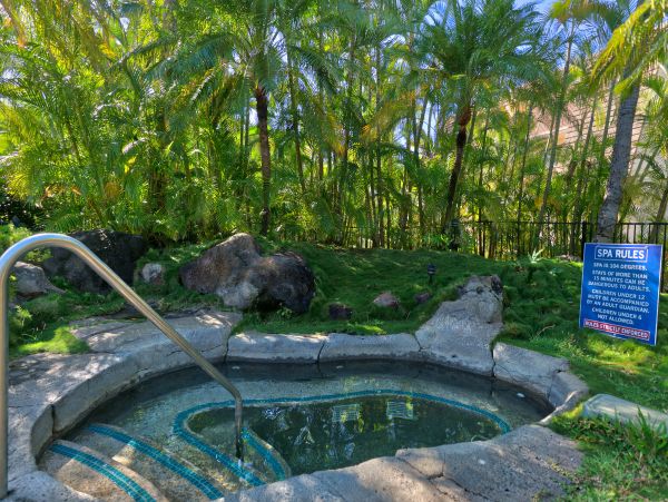 Wailea Home 1018403