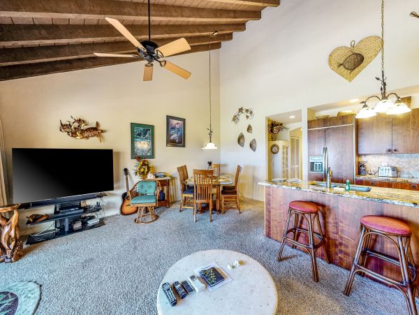 Wailea Home 1018404