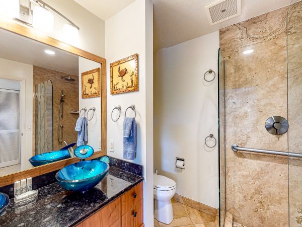 Wailea Home 1018404
