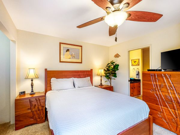 Wailea Home 1018404