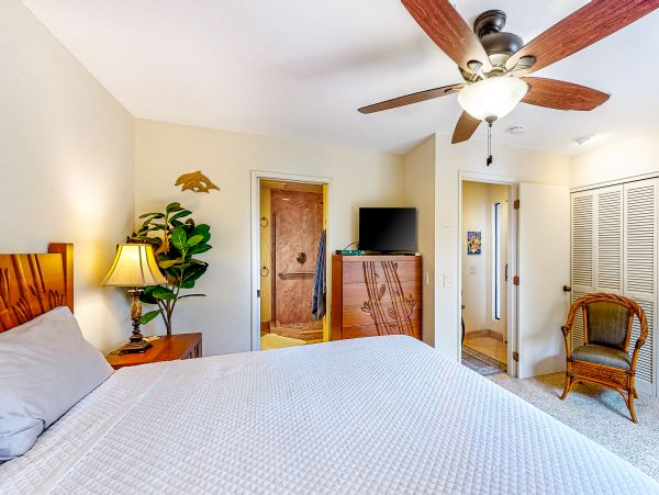 Wailea Home 1018404