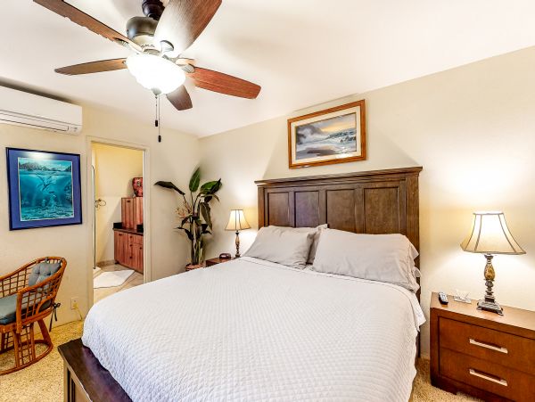 Wailea Home 1018404
