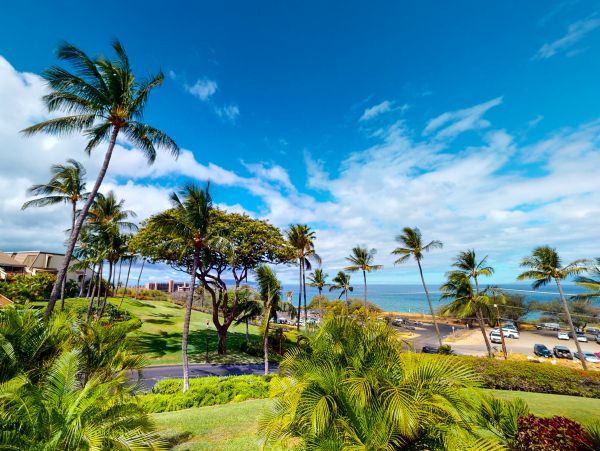Wailea Home 1018404