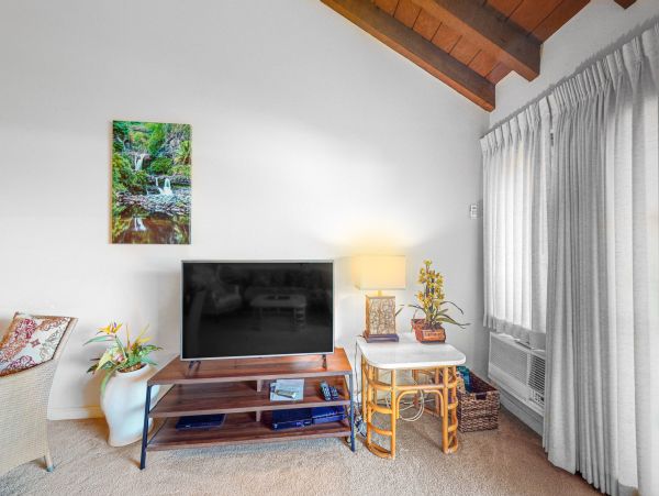 Wailea Home 1018405