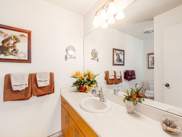 Wailea Home 1018405