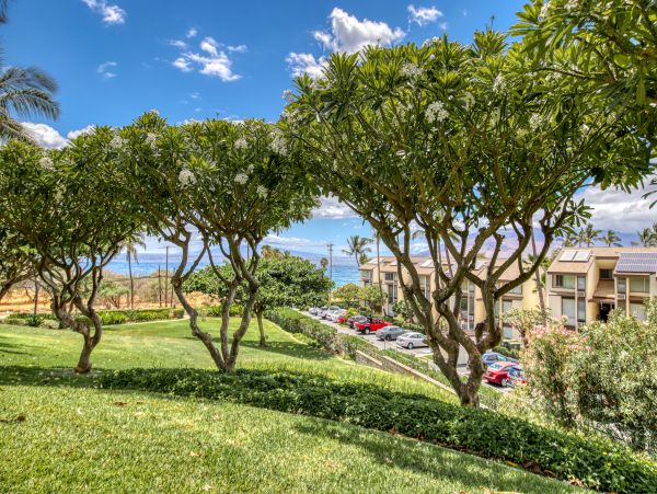 Wailea Home 1018406