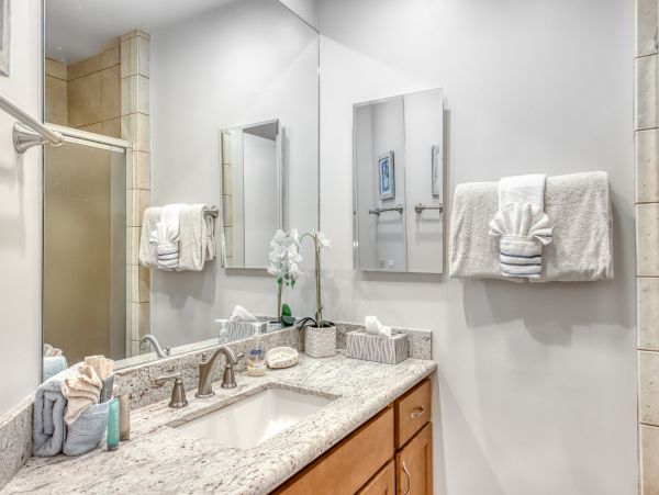 Wailea Home 1018406