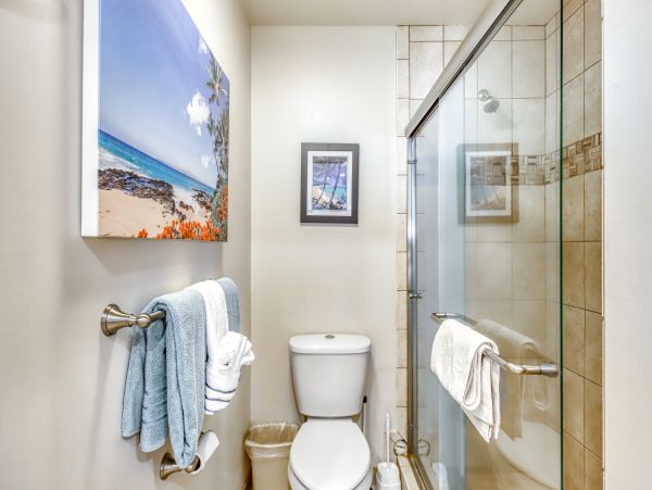 Wailea Home 1018406
