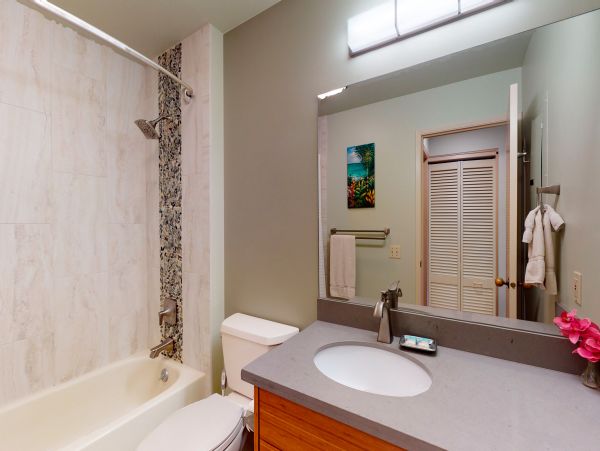 Wailea Home 1018407