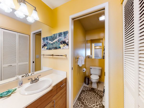 Wailea Home 1018408