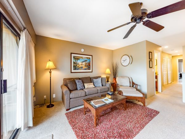 Wailea Home 1018409