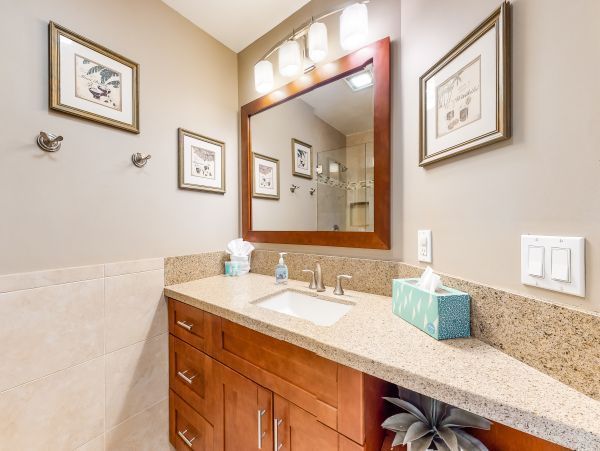 Wailea Home 1018409