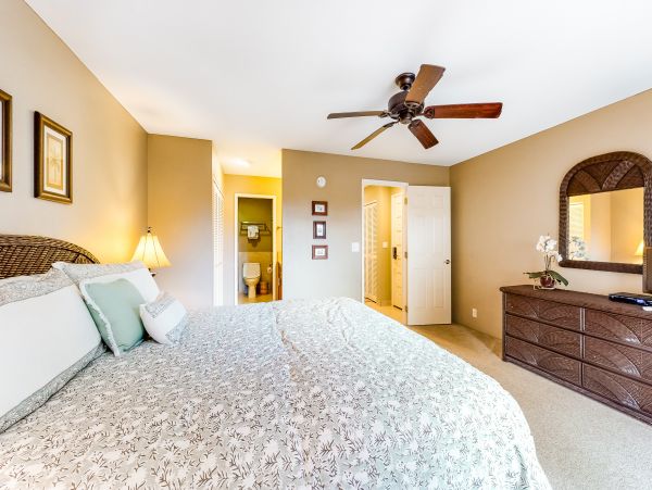 Wailea Home 1018409
