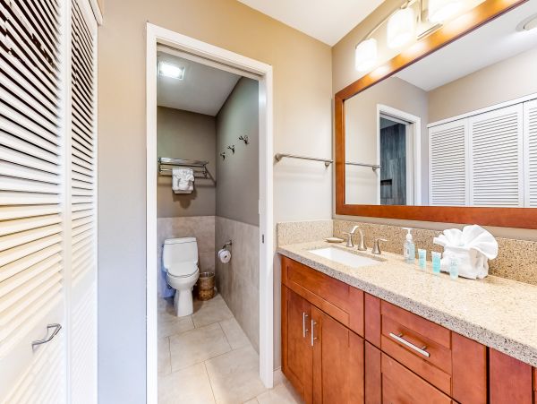 Wailea Home 1018409