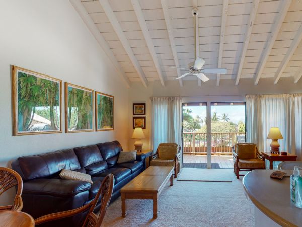 Wailea Home 1018410