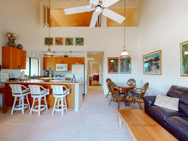 Wailea Home 1018410