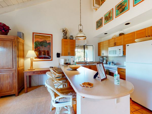 Wailea Home 1018410