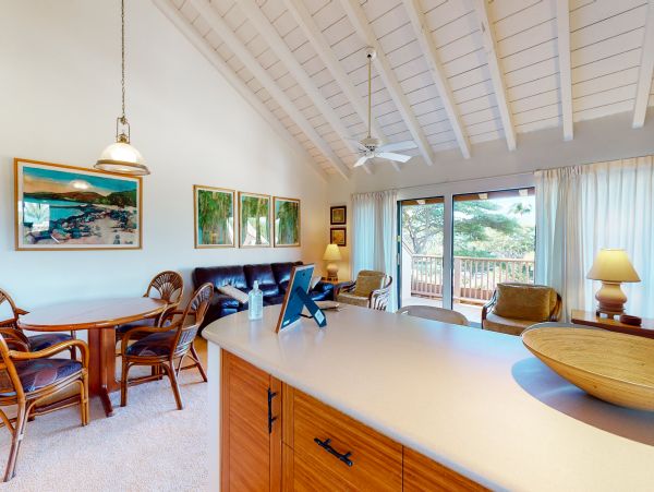 Wailea Home 1018410