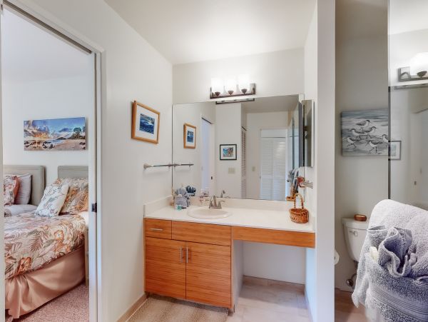 Wailea Home 1018411
