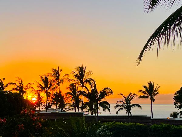 Wailea Home 1018412