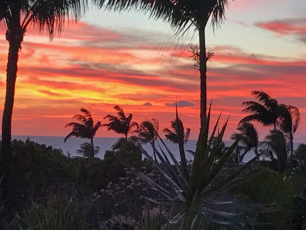Wailea Home 1018412