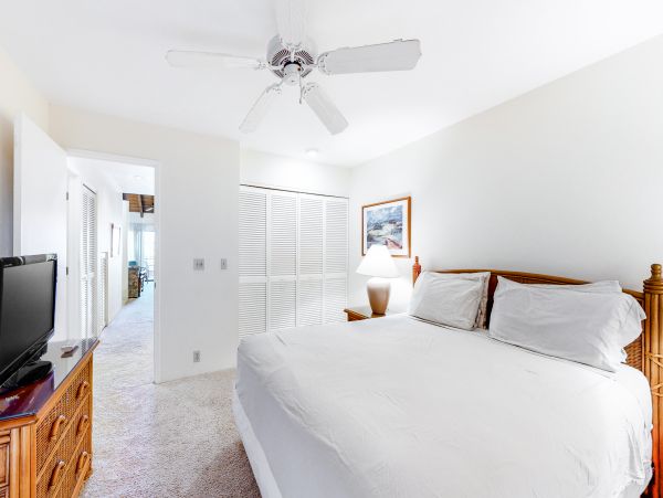 Wailea Home 1018413