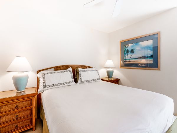 Wailea Home 1018413