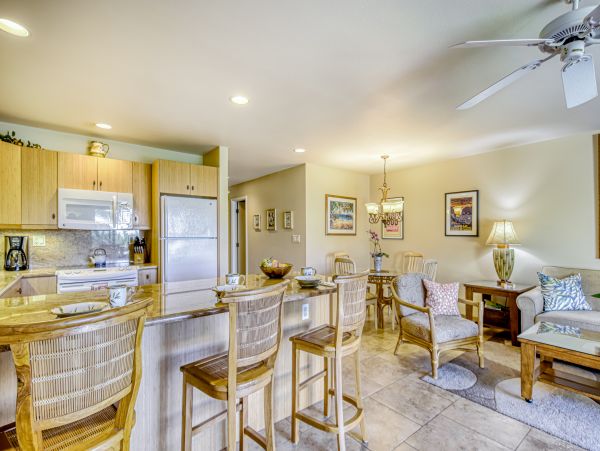 Wailea Home 1018414