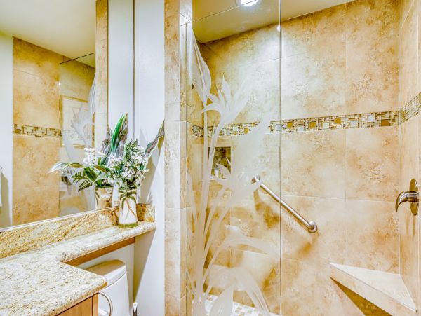 Wailea Home 1018414