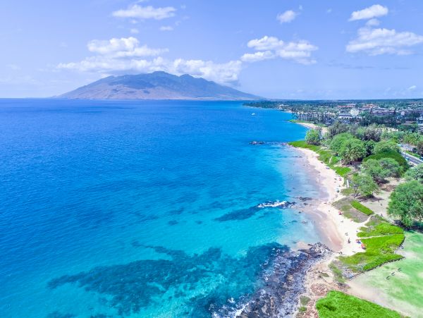 Wailea Home 1018414