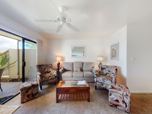 Wailea Home 1018415