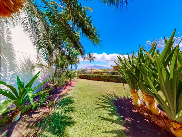 Wailea Home 1018415