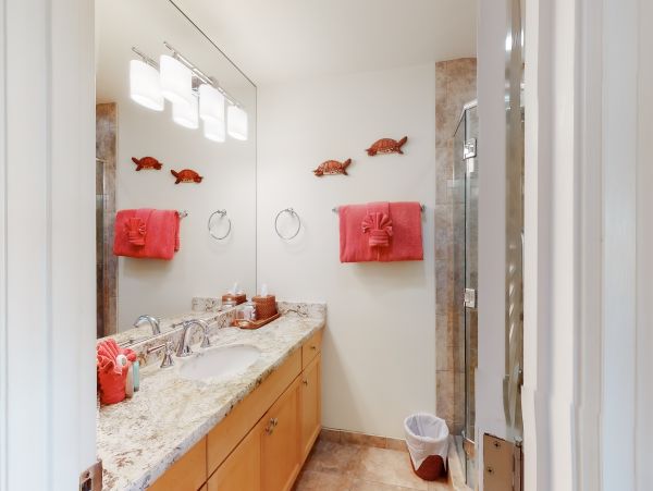 Wailea Home 1018416