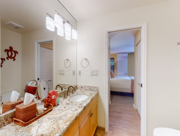 Wailea Home 1018416