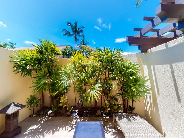 Wailea Home 1018416