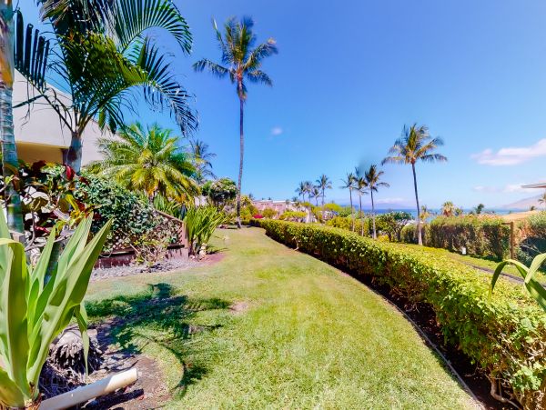 Wailea Home 1018416