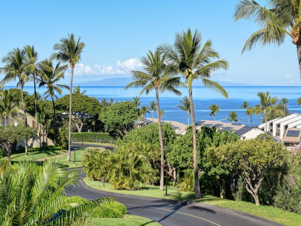 Wailea Home 1018417