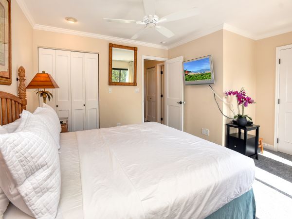 Wailea Home 1018417