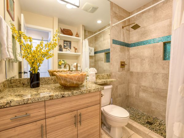 Wailea Home 1018417