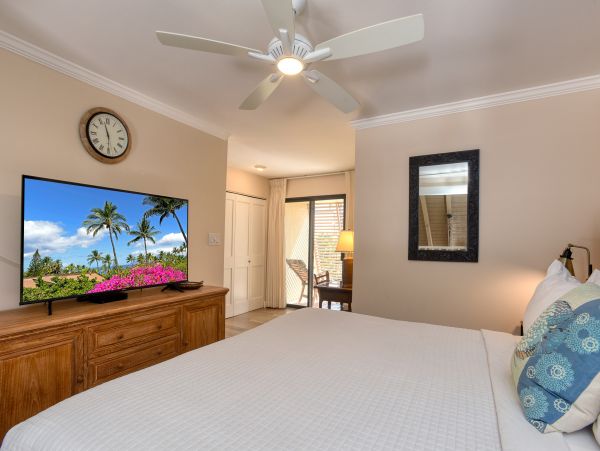 Wailea Home 1018417