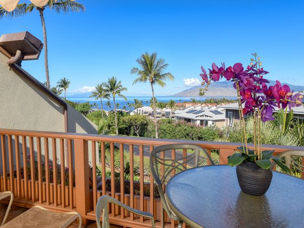 Wailea Home 1018417